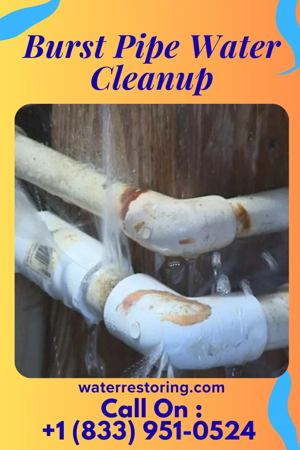 Burst Pipe Water Cleanup in Magnet, NE